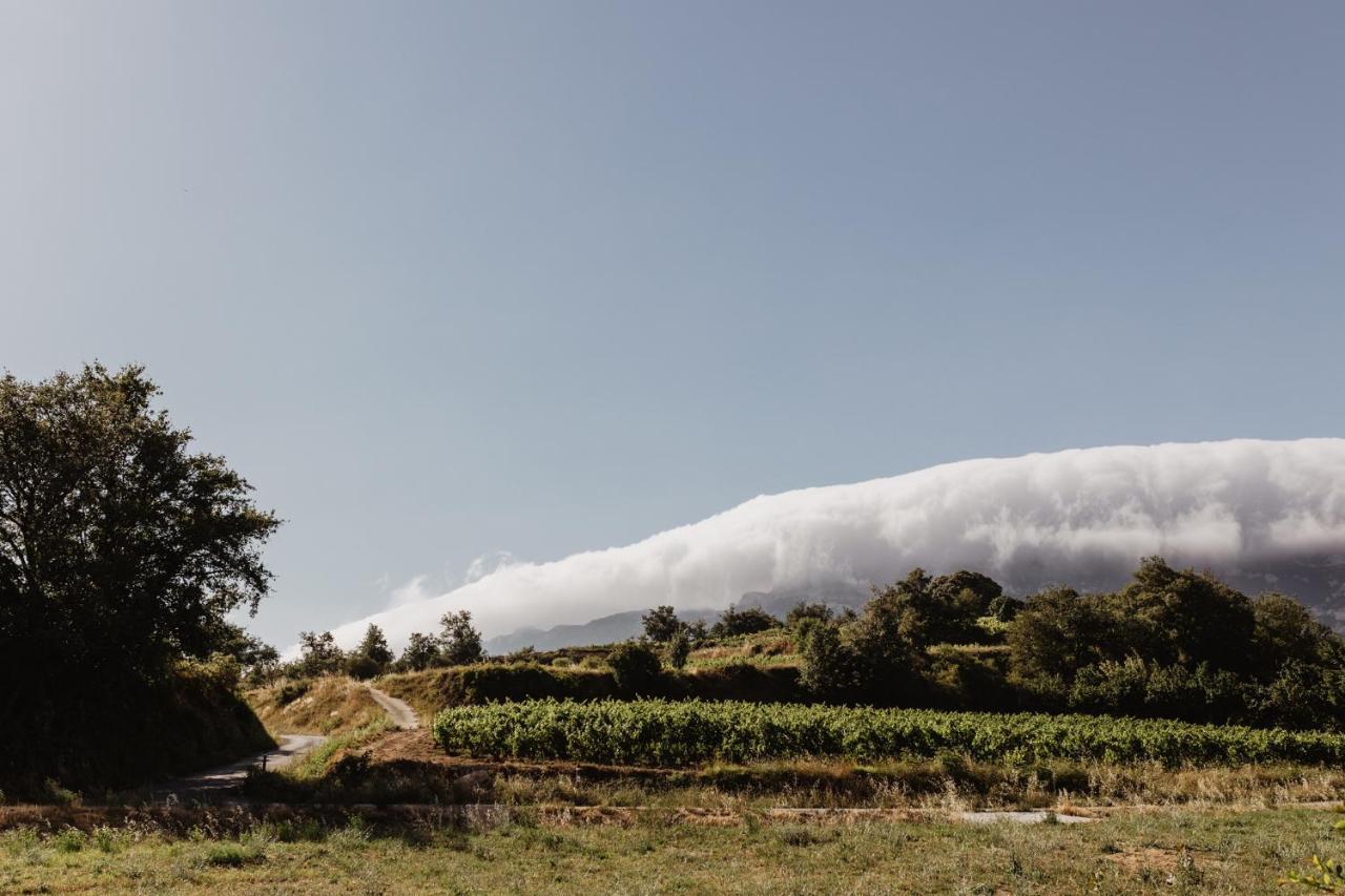Aldapa Casa Rural La Guardia エクステリア 写真